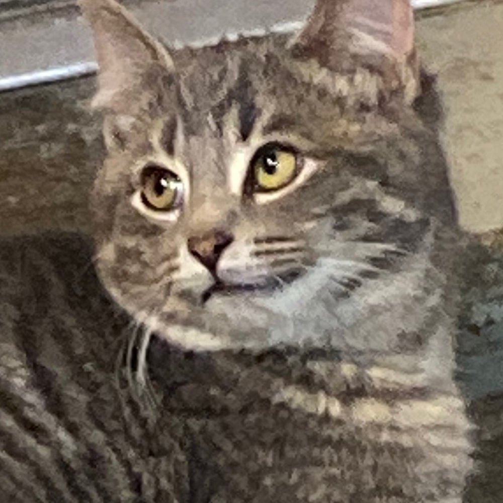 Meet your Posher, Maria